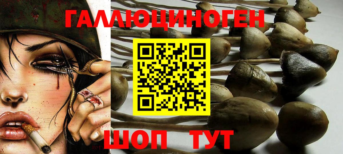Псилоцибиновые грибы MAGIC MUSHROOMS Котлас